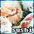 {...sushi fan...}